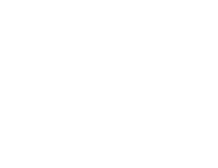 Logo without Avatar white web
